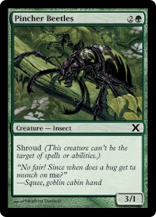 (image for) Pincher Beetles