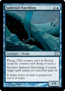(image for) Spiketail Hatchling