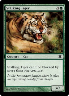 (image for) Stalking Tiger
