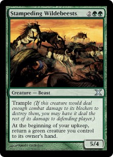 (image for) Stampeding Wildebeests