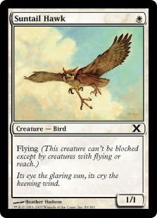 (image for) Suntail Hawk (Foil)