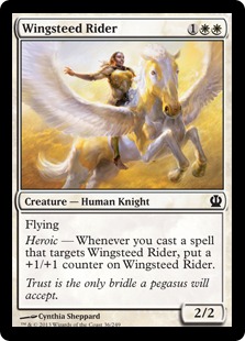(image for) Wingsteed Rider