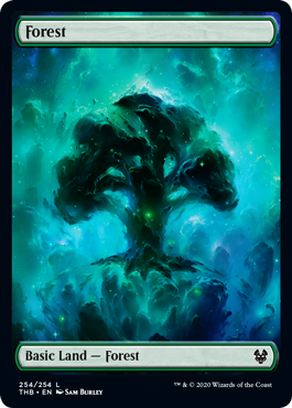 (image for) Forest