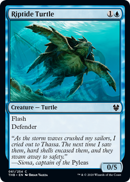 (image for) Riptide Turtle