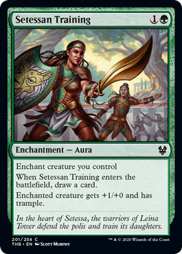 (image for) Setessan Training