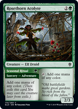 (image for) Rosethorn Acolyte (Foil)