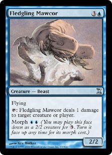 (image for) Fledgling Mawcor (Foil)