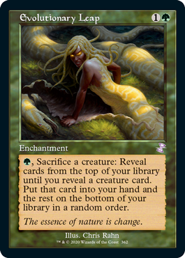 (image for) Evolutionary Leap