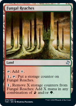 (image for) Fungal Reaches