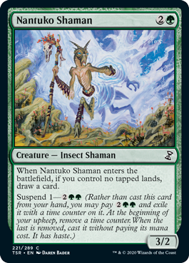 (image for) Nantuko Shaman