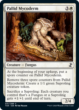 (image for) Pallid Mycoderm
