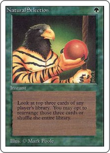 (image for) Natural Selection