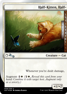 (image for) Half-Kitten, Half- (Foil)