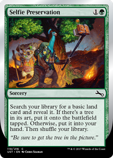 (image for) Selfie Preservation (Foil)