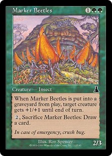 (image for) Marker Beetles