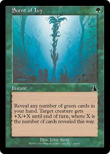 (image for) Scent of Ivy