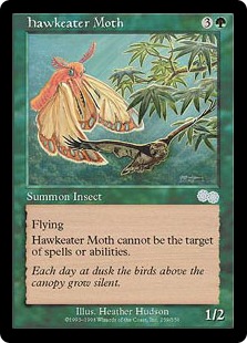 (image for) Hawkeater Moth