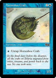 (image for) Horseshoe Crab