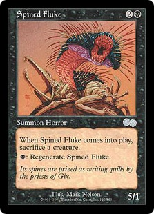 (image for) Spined Fluke