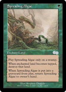 (image for) Spreading Algae