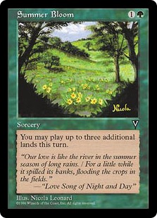 (image for) Summer Bloom