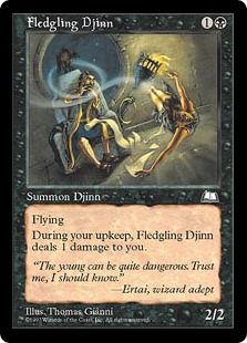 (image for) Fledgling Djinn
