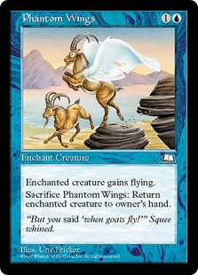 (image for) Phantom Wings