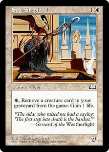 (image for) Soul Shepherd