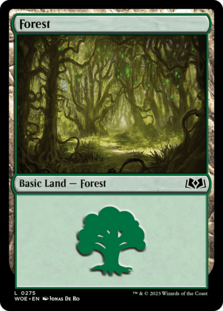 (image for) Forest (0275)