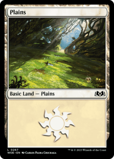 (image for) Plains (0267)
