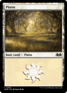 (image for) Plains (0268)