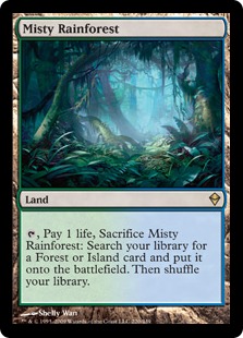(image for) Misty Rainforest
