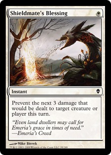 (image for) Shieldmate's Blessing