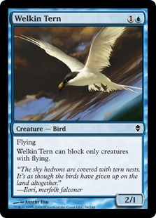 (image for) Welkin Tern