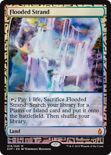 (image for) Flooded Strand - Zendikar Expedition