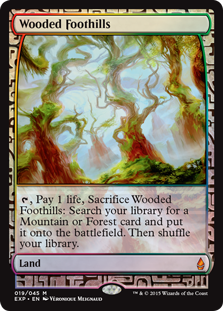 (image for) Wooded Foothills - Zendikar Expedition