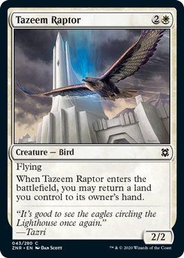 (image for) Tazeem Raptor