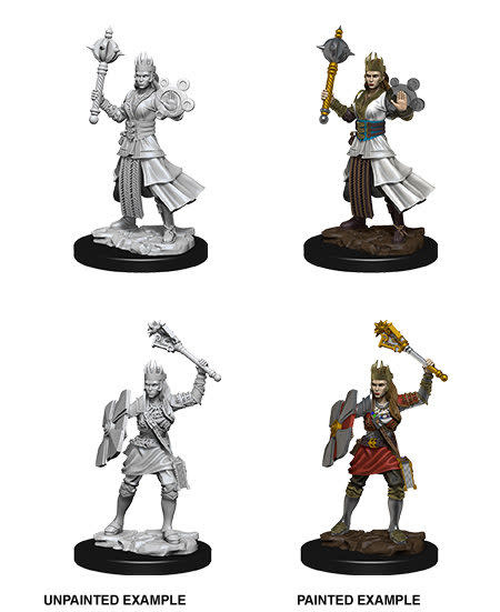 (image for) Nolzur's Marvelous Miniatures: Female Human Cleric