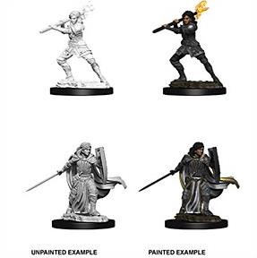 (image for) D&D Nolzur's Marvelous Miniatures : Female Human Paladin