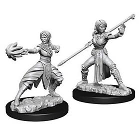(image for) D&D Nolzur's Marvelous Miniatures : Female Half-Elf Monk