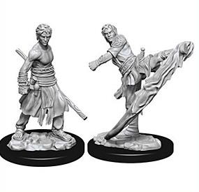 (image for) D&D Nolzur's Marvelous Miniatures : Male Half-Elf Monk