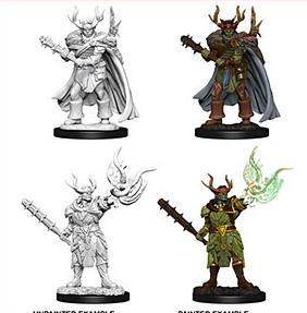 (image for) Pathfinder Deep Cuts Miniature : Male Half-Orc Druid