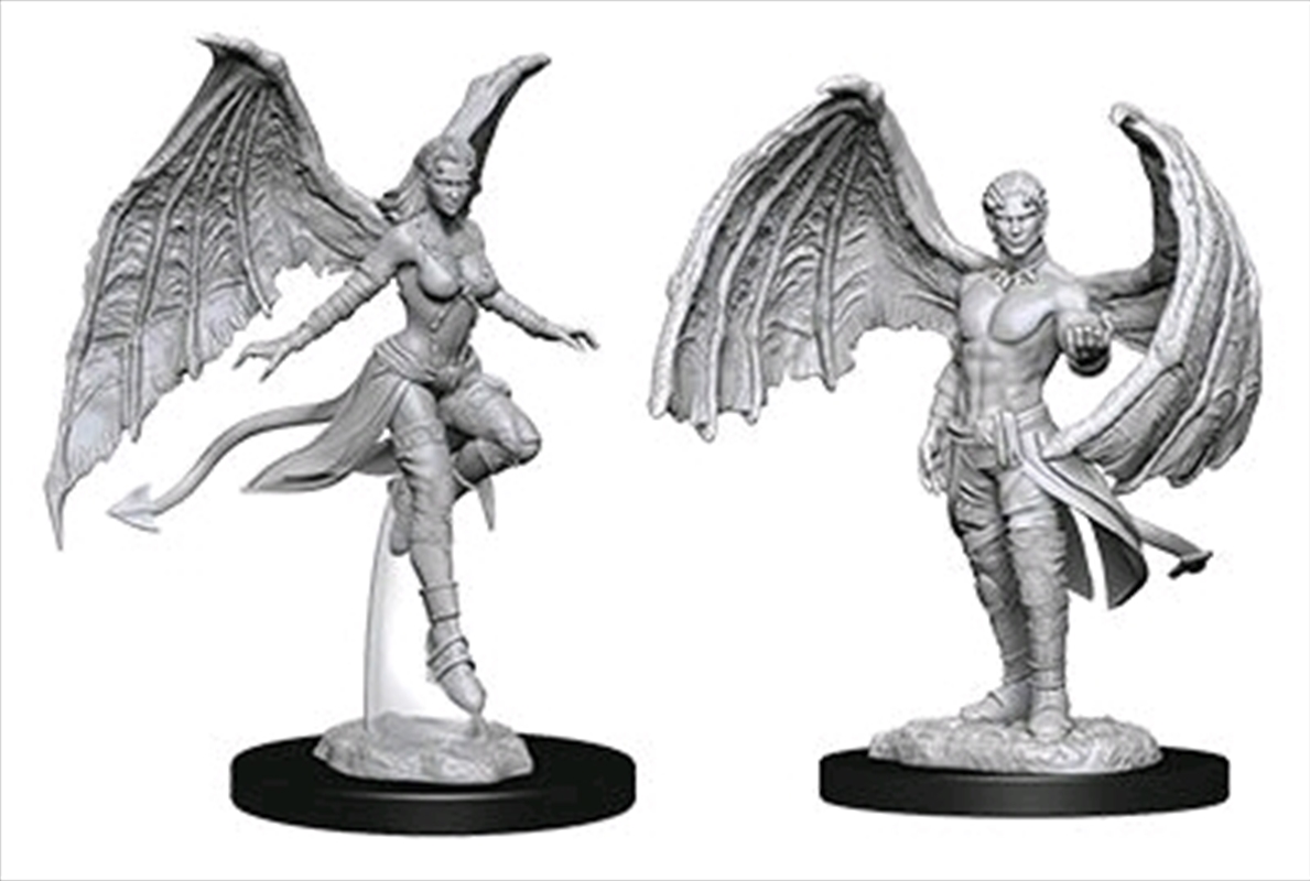 (image for) D&D Nolzur's Marvelous Miniatures : Succubus & Incubus