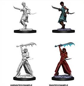 (image for) D&D Nolzur's Marvelous Miniatures : Female Human Rogue