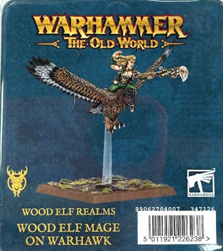 (image for) Wood Elf Mage on Warhawk